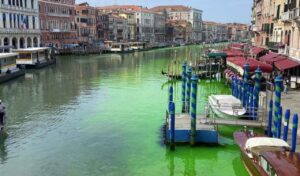 Canal Water in Venice