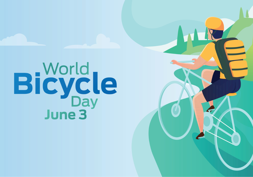 World Bicycle Day