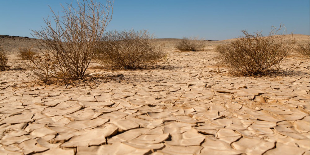 Desertification and Drought