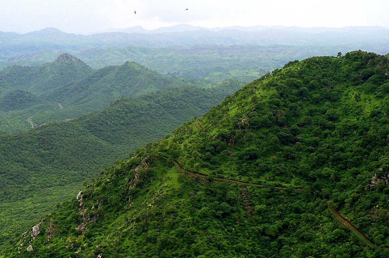 Aravali