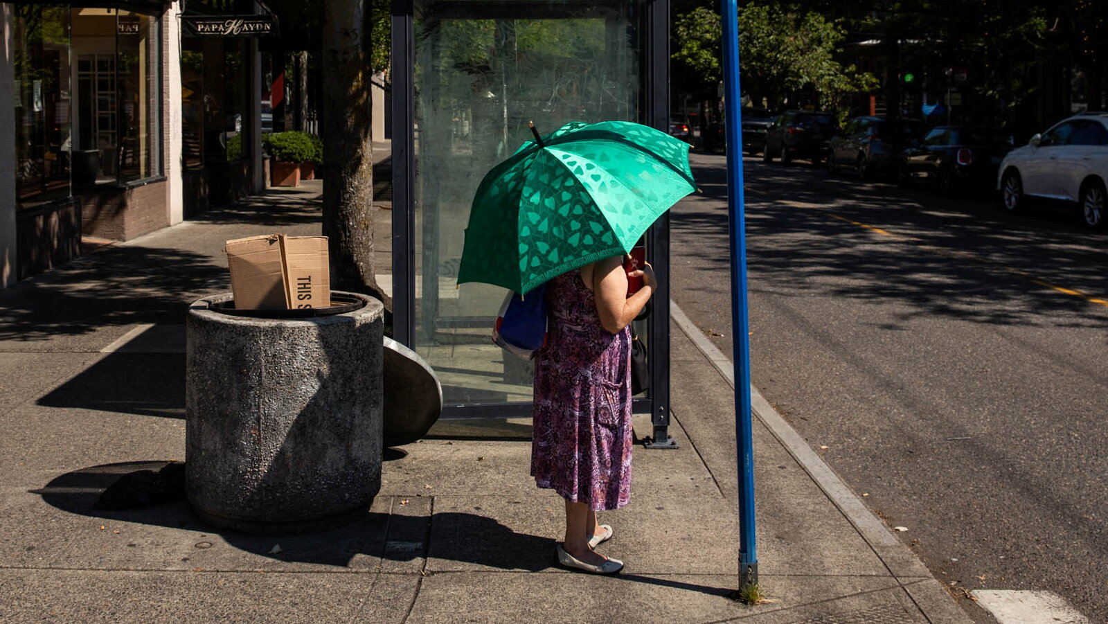 Global Red Alert: Record-Breaking Heat Bakes The World