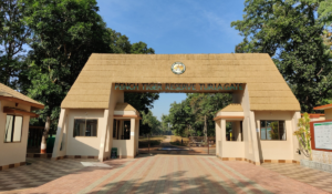 Pench Tiger Reserve