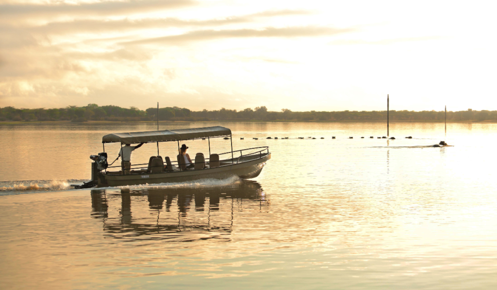 boat safaris