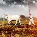 PM Balen raises Lipulekh issue as India backs Nepal with subsidised fertiliser