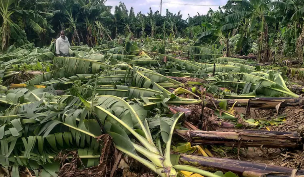 Cyclone Remal rips through Bengal