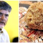 Naidu accused Jagan government of using animal fat in laddus YSRCP defended itself