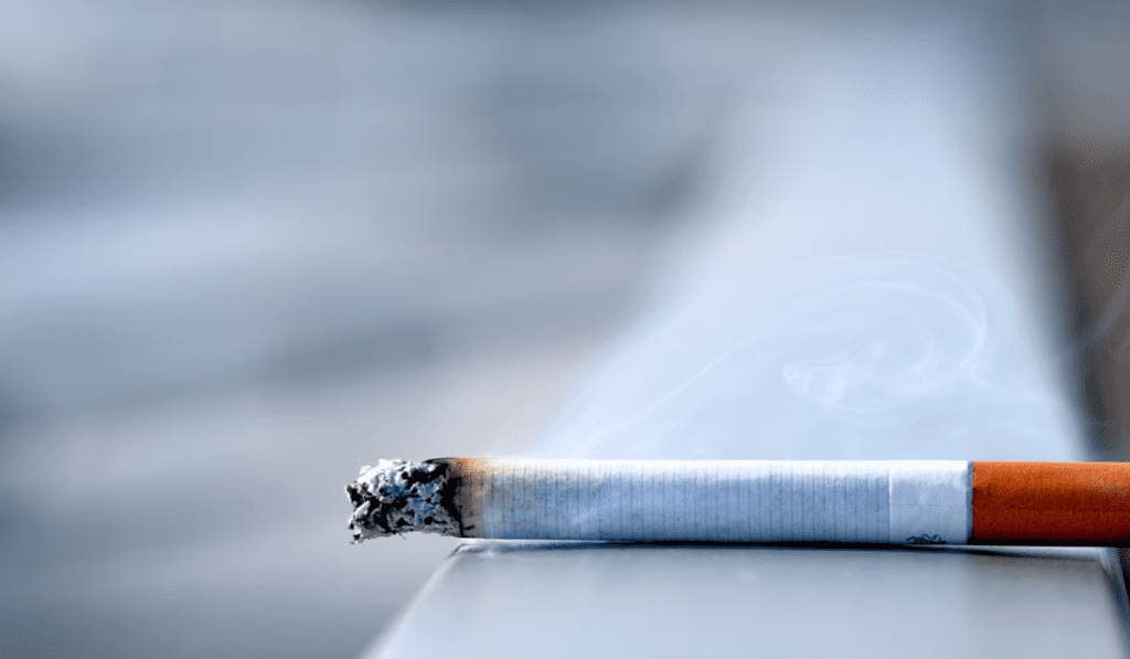 Karnataka Govt Bans Smoking and Tobacco Use for Employees Inside Offices