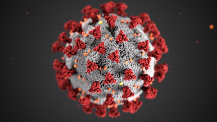 HMPV Virus