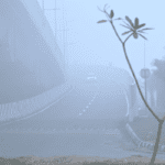 Delhi Fog: 47 Trains, Multiple Flights Delayed; IMD Predicts Rain and Thunderstorms Next Week