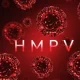 HMPV