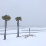 100-years-old record broken as rare snow storm hits Florida