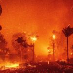 Devastating Wildfires Engulf Los Angeles: Thousands of Acres Burned, Residents Forced to Evacuate