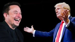 musk and trump