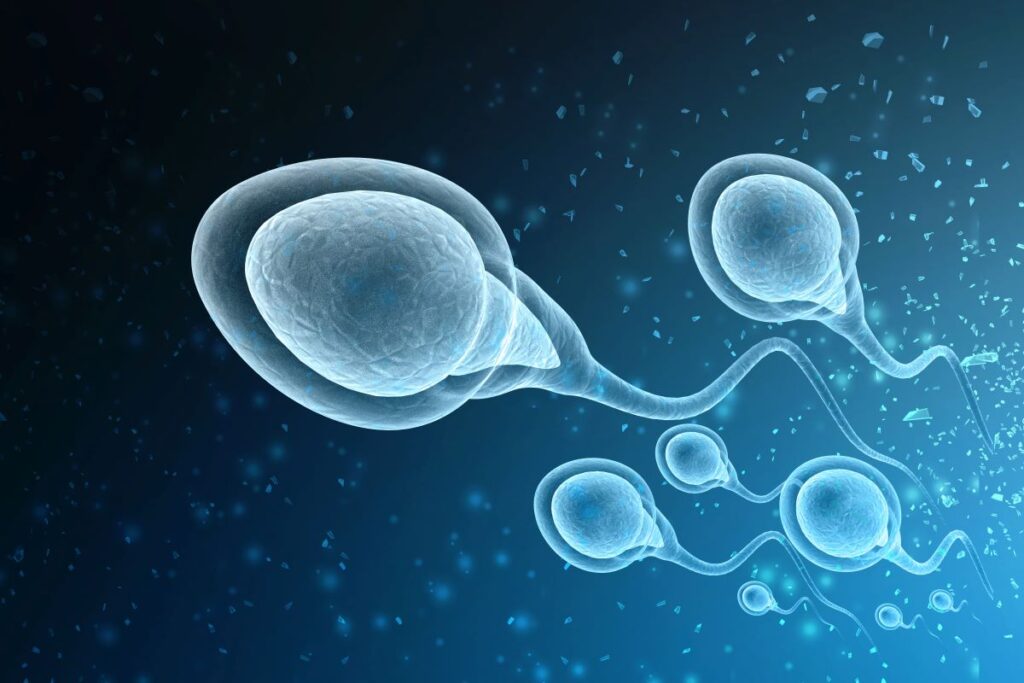 Cancer Gene Carrier Sperm Donor Fathers 67 Children, 10 Diagnosed with Cancer