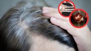 चायपत्ती