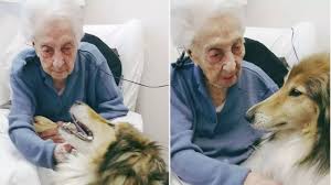 Mizoram oldest woman