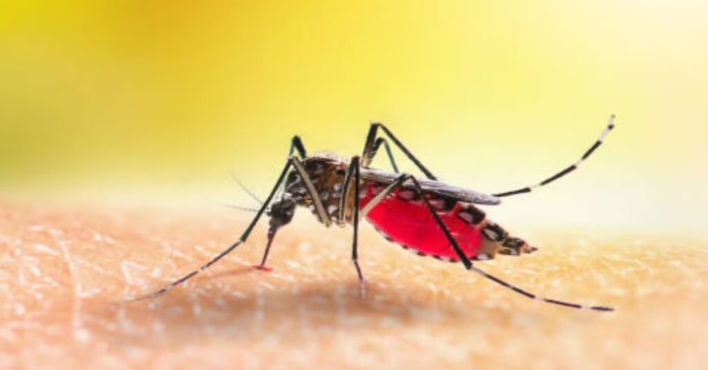 तमिलनाडु