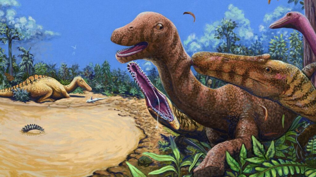 dinosaur