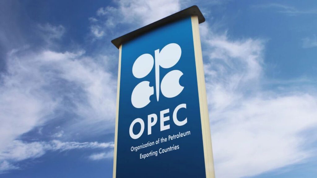 Oil