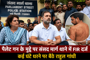 पैलेट गन